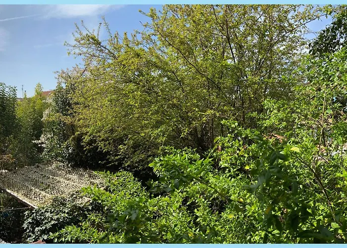 La Bulle Dans Le PalmierHotel Toulouse